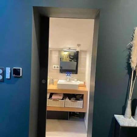 Loft Centre Situe Dans Rue Calme * Grenoble