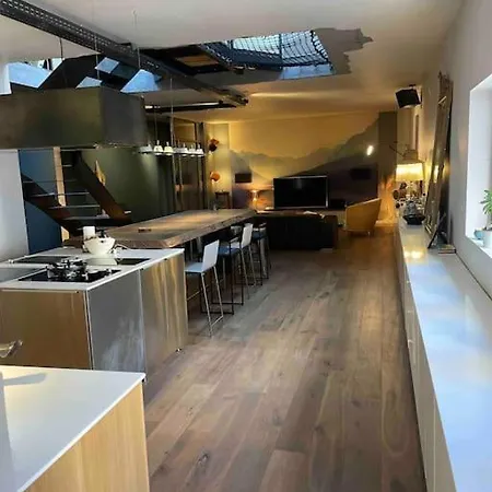 Apartment Loft Centre Situe Dans Rue Calme Grenoble