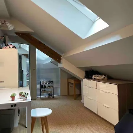 Loft Centre Situe Dans Rue Calme Διαμέρισμα Γκρενόμπλ