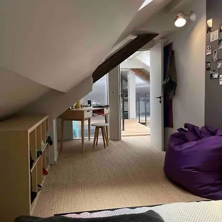 Loft Centre Situe Dans Rue Calme Διαμέρισμα Γκρενόμπλ