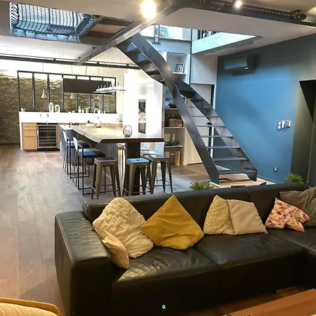Apartment Loft Centre Situe Dans Rue Calme Grenoble